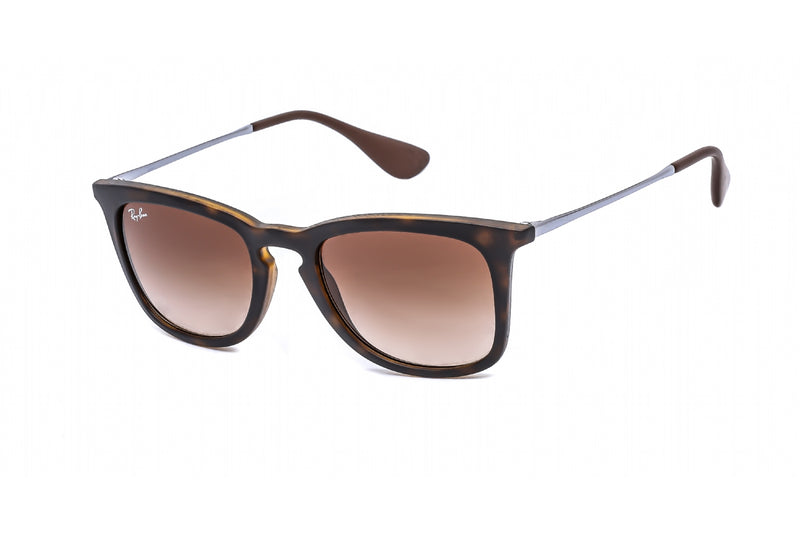 Ray-Ban RB4221 sunglasses